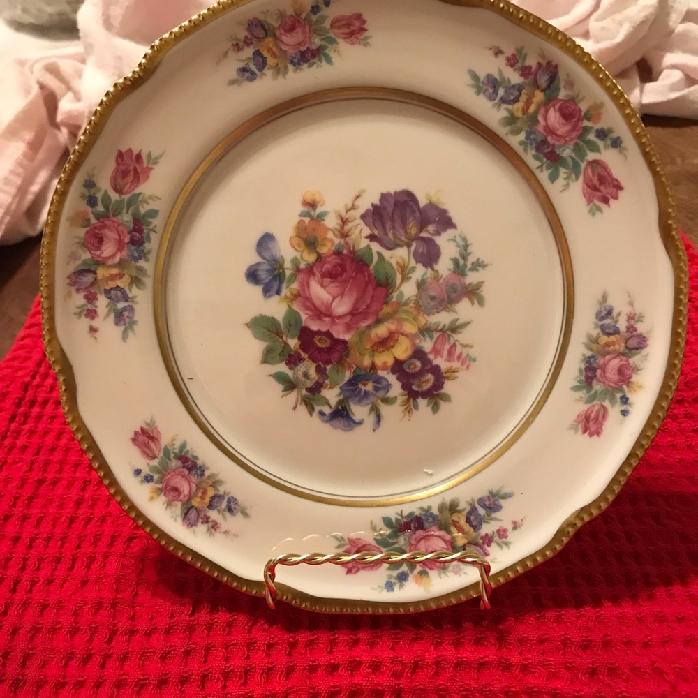 Castleton Rose China salad plate 7 7/8”.  Rare, collectible.  Gold rim.